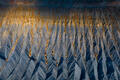 Cathedral of Erosion