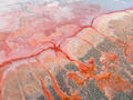 Natures Hemorrhage