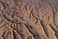 Golden light reveals rhythmic badland ridges and winding washes across Utah’s desert.