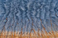 Bentonite Veins