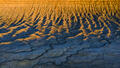 Golden sunset light over Utah badlands with blue shadowed shale ridges.