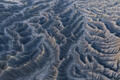 Silent Tributaries