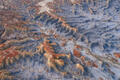 Painted Faultlines