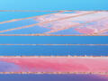 Pastel salt ponds and reflective blue water form a playful aerial abstract across the Australian landscape.
