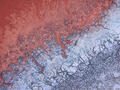 An abstract aerial of cracked salt and mineral formations resembling a colorful natural mosaic.
