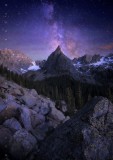 Soaring into the Stars print