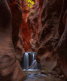 Red Walls Waterfall print