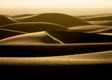 Golden Dunes | White Sand Dune Pictures for Sale print