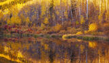Meadow Reflection print