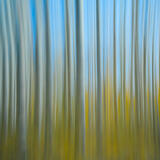 Autumns Abstract print