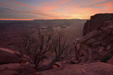 Desert Fire print