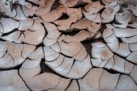 Tiles