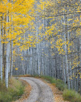Country Road