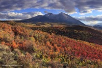 Showy Sopris 