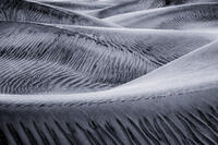 Dune Ooze