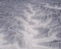 Whispering Terrain