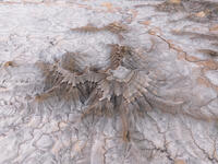 White Dominion – Sculpted Utah Badlands