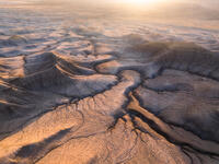 Golden Wash