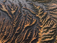 Geology in Gold