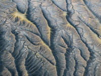 Proliferate – Erosion Lines in Light