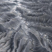 Veins of Silence