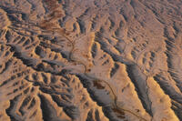 Desert Rhythm