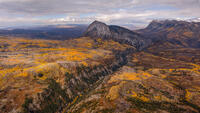 Autumn Dominion