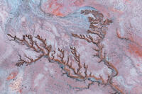 Desert Delta