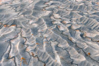 Desert Ripples