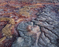 Painted Basin