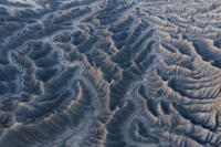 Silent Tributaries
