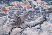 Veins of the Desert