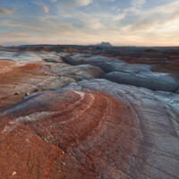 Desert Blend