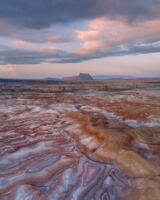 Desert Reverie