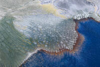 Tectonic