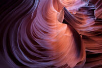 Vortex