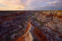 Scarlet Divide
