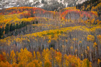 Slopes & Layers