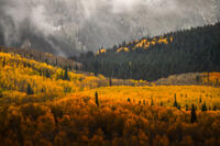 Storm Light