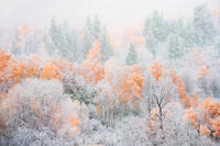 Firstfall