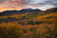 Autumn Kingdom