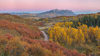 Autumn Road