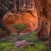 Sanctuary