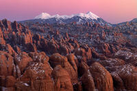 Desert Meets Alpine