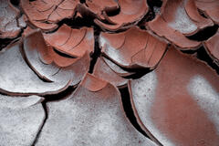 Clay Shingles
