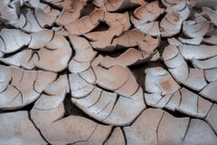 Tiles