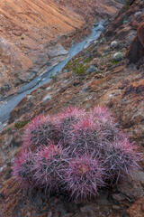 Above the Wash