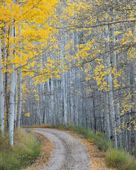 Country Road