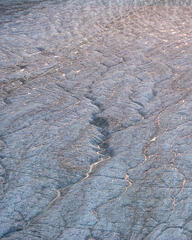 Golden Tributaries