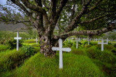 Revered Idols